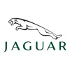 jaguar-fmd24